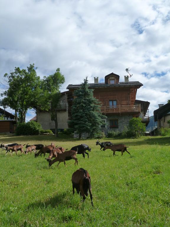 Agriturismo Barba Gust Cesana Torinese Exterior foto