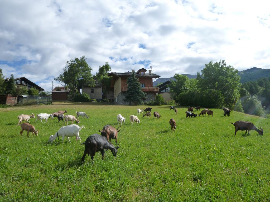 Agriturismo Barba Gust Cesana Torinese Exterior foto