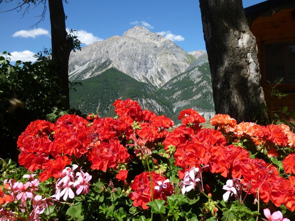 Agriturismo Barba Gust Cesana Torinese Exterior foto