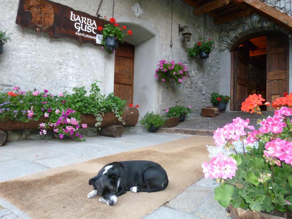 Agriturismo Barba Gust Cesana Torinese Exterior foto
